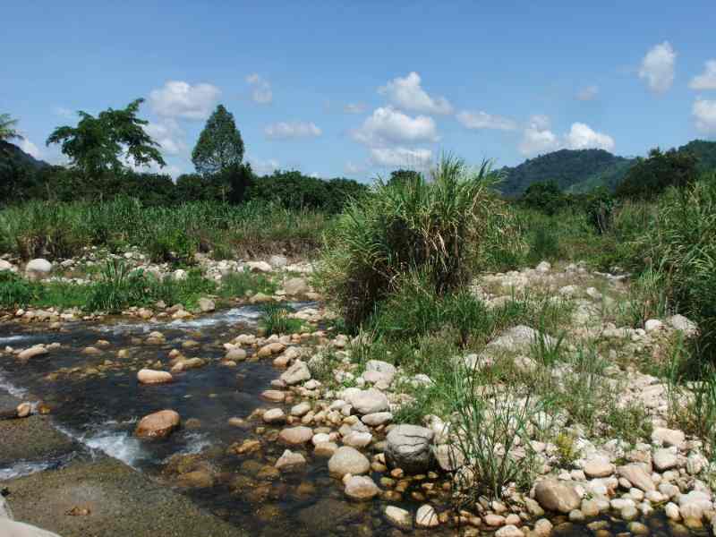 เทคโนโลยีสารสนเทศในงานอาชีพ